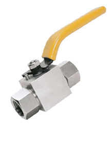 Stainless Steel 316L Ball Valve 2 – pc HP