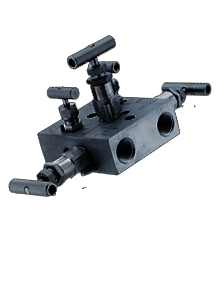 Carbon Steel A105N Manifold-R-5 Way-01 Valve