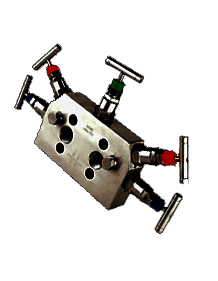 Carbon Steel A105N Manifold-R-5 Way-03 Valve