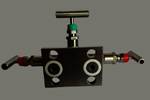 Carbon K03504 Manifold Valves