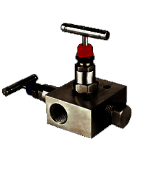 Carbon Steel A105N Manifold-R-2 Way-05