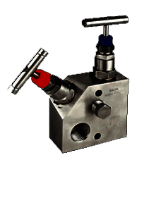 Carbon Steel A105N Manifold-R-2 Way-06