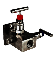 Carbon Steel A105N Manifold-T-2 Way