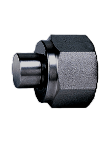 Alloy Steel Plug (Port Ends)