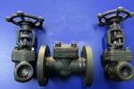 Carbon LF2 Forged Check Valve