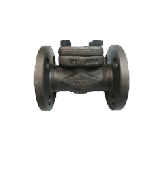 Carbon Steel LF2 Forged Check Valves