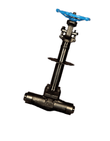 Carbon Steel Low Temperature LF2 Forged Steel Cryogenic Valve