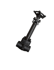 Carbon Steel LF2 Forged Extended Body Valves