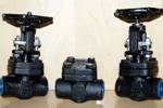Carbon Steel LF2 Forged Steel Gate Valves
