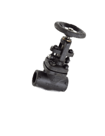 Carbon Steel LF2 Forged Globe Valves