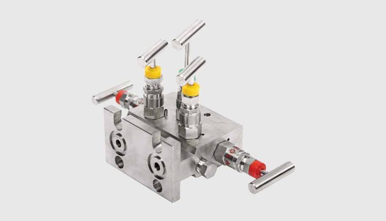 Stainless Steel Manifold Valves