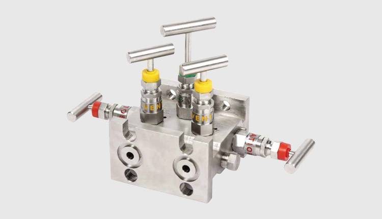 Stainless Steel Manifold Valves