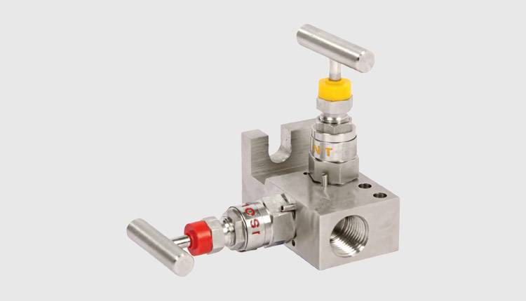 Stainless Steel Manifold Valves