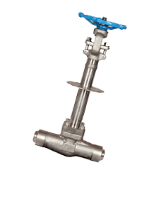 Inconel 600 Forged Cryogenic Valve