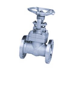 Inconel Alloy 600 Forged Steel Gate Valves
