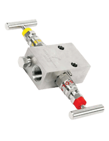 Stainless Steel Manifold-R-2 Way-02