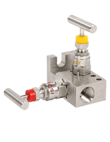 Stainless Steel Manifold-R-2 Way-03