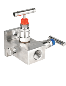 Stainless Steel Manifold-T-2 Way