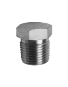 Stainless Steel Hex Pipe Plug