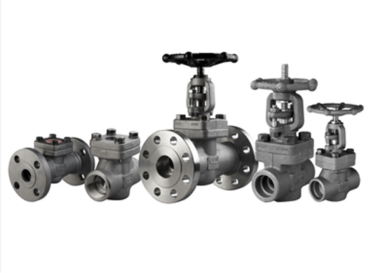Stainless Steel Forged Steel Valves